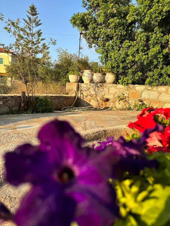 Appartamento Σελήνη Kotronion  Esterno foto